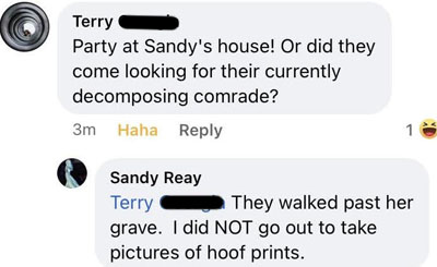 Comments. Terry: Party at Sandy's house! Or did they come looking for their currently decomposing comrade? Sandy: They walked past her grave. I did NOT go out to ake pictures of hoof prints.